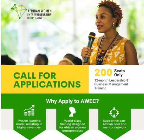 African Women Entrepreneurship Cooperative (AWEC) Programme (2024)