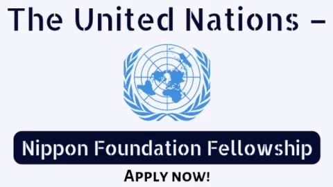 UN – Nippon Foundation Strategic Needs Fellowship Programme 2024