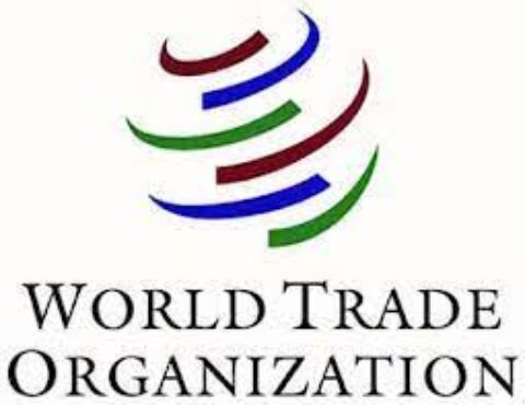 WTO Essay Award (2024) for Young Economists
