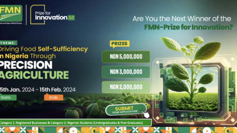 FMN Prize for Innovation 2024 For Nigerians(Up to N10million)