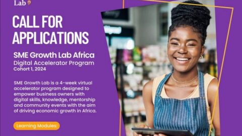 SME Growth Lab Africa Digital Accelerator Program (2024)