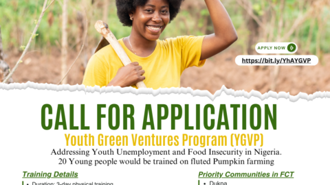 Call for Application; Youth Green Ventures Program