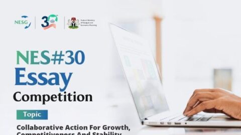 Nigerian Economic Summit Group (NESG) Essay Competition (2024)