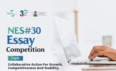 Nigerian Economic Summit Group (NESG) Essay Competition (2024)