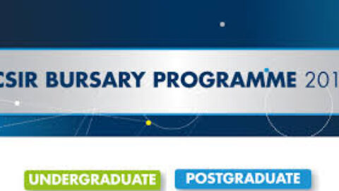 CSIR Department of Science and Innovation Inter-Programme Bursary Scheme 2024