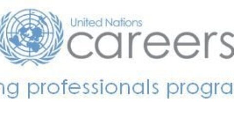 United Nations Young Professionals Programme (2024) (Launch Your Career at the United Nations)