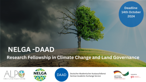 NELGA – DAAD RESEARCH FELLOWSHIP IN CLIMATE CHANGE AND LAND GOVERNANCE