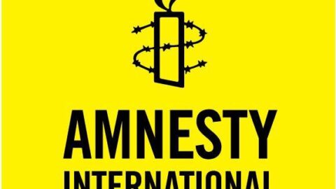 Amnesty International Graduate Governance Fellowship (2025)