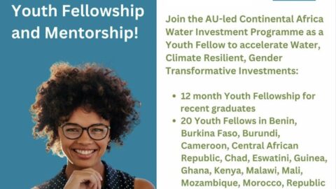 AU-AIP Youth Fellowship and Mentorship Programme (2024)