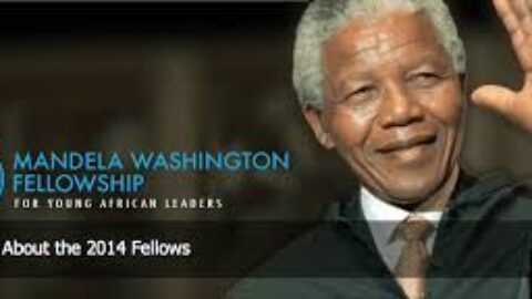 Mandela Washington Fellowship Catalyst Grant (2025)