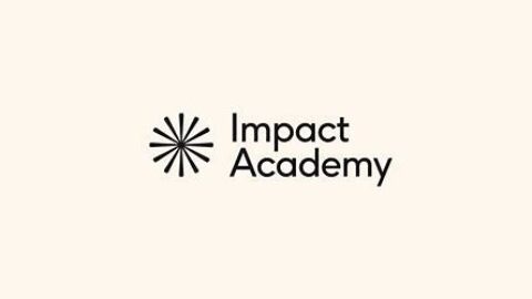 Impact Academy’s Global AI Safety Fellowship 2025