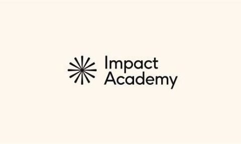 Impact Academy’s Global AI Safety Fellowship 2025