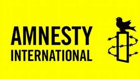 Amnesty International Justice in Africa Fellowship 2025 for young African professionals (EUR 39,600 per year)