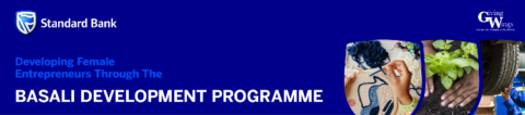 Standard Bank Basali Development Programme 2025 for South African female entrepreneurs.