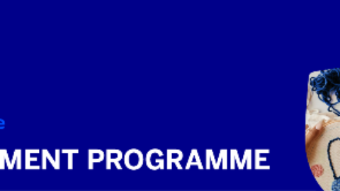 Standard Bank Basali Development Programme 2025 for South African female entrepreneurs.