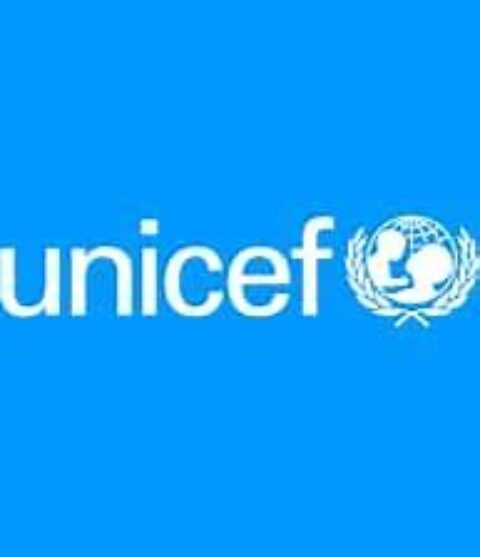 The UNICEF Venture Fund: AI and Blockchain for Data and Trust (US$100K in equity-free investments)