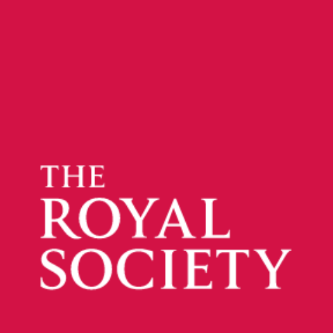 The Royal Society Rising Star Africa Prize 2025 for early-career research scientists.