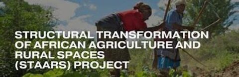 Structural Transformation of African Agriculture and Rural Spaces (STAARS) fellowship Program 2025 for early-career African Researchers (Fully Funded)