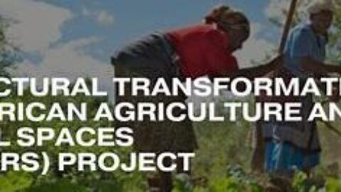 Structural Transformation of African Agriculture and Rural Spaces (STAARS) fellowship Program 2025 for early-career African Researchers (Fully Funded)