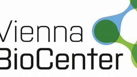 Vienna Biocenter Summer School 2025 for undergraduate students worldwide (Fully Funded to Vienna, Austria)