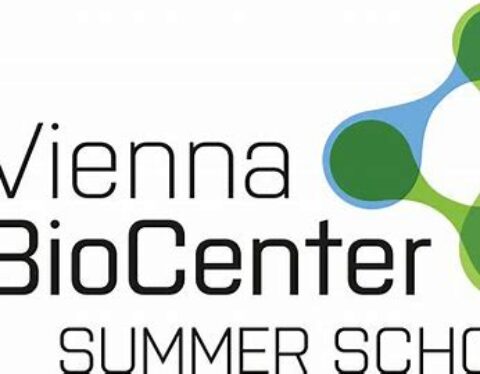 Vienna Biocenter Summer School 2025 for undergraduate students worldwide (Fully Funded to Vienna, Austria)