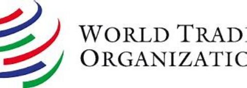 World Trade Organization (WTO) Internship Programme 2025 for post-graduate students and recent graduates