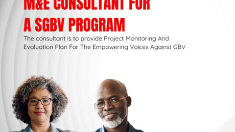 YouthHubAfrica Call for Consultant: M&E Consultant or an SGBV Program