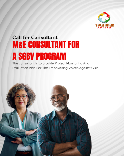 YouthHubAfrica Call for Consultant: M&E Consultant or an SGBV Program