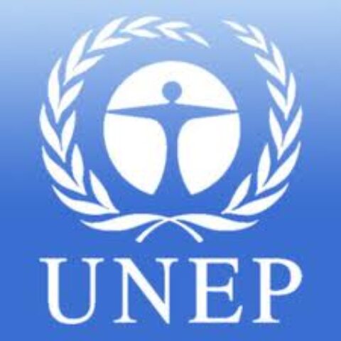 UNEP-Georgetown Global Environment and Sustainability Law Fellows Program 2025/2026 for public sector lawyers