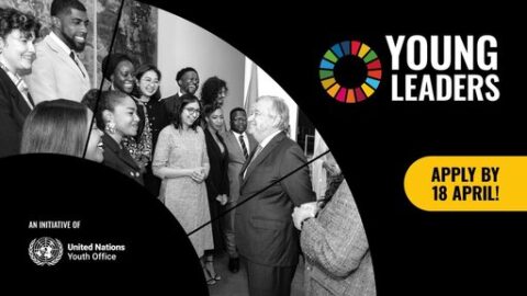 The United Nations Youth Office Young Leaders for the SDGs Programme 2025 for young change-makers.