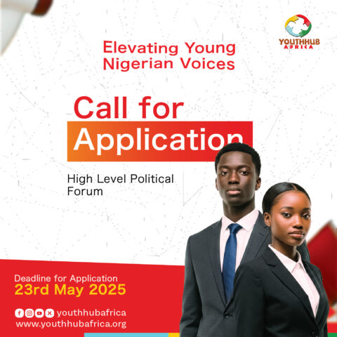 Call for Application: High Level Political Forum Elevating Young Nigerians Voices  
