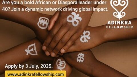 The Adinkra Fellowship 2026 for emerging African and Diaspora leaders.