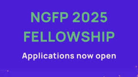 The Next Generation Foresight Practitioners (NGFP) Fellowship 2025 for Young Professionals.