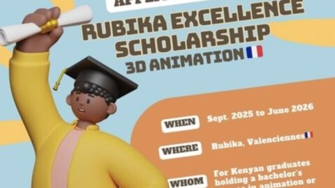 The Rubika Excellence Scholarship 2025 for Kenyan 3D animation students (Fully Funded to Valenciennes, France)