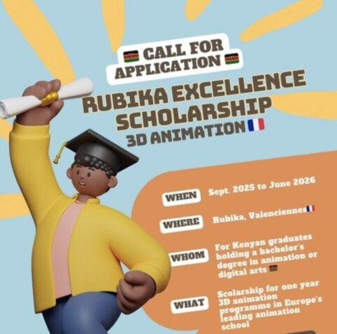 The Rubika Excellence Scholarship 2025 for Kenyan 3D animation students (Fully Funded to Valenciennes, France)