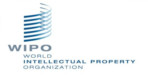 WIPO National Intellectual Property Essay Competition 2025 for young Nigerian Students