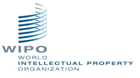 WIPO National Intellectual Property Essay Competition 2025 for young Nigerian Students